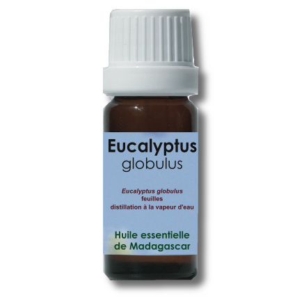 Huile essentielle d'Eucalyptus globulus 10ml