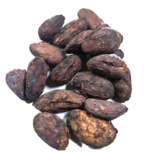 Fèves de cacao bio crues