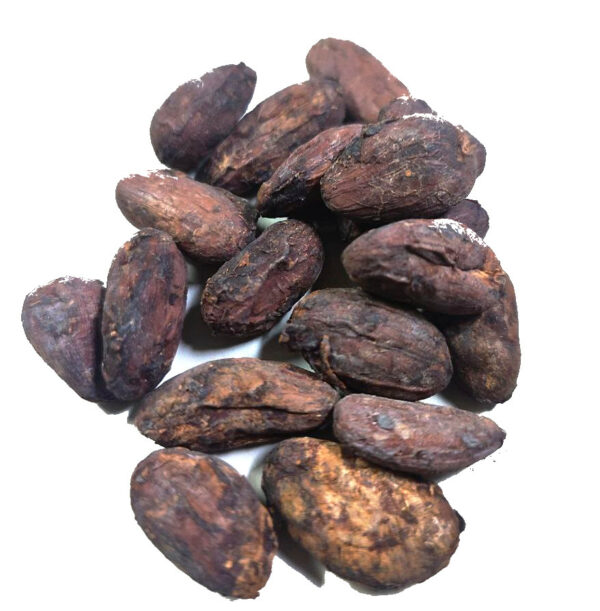 Fèves de cacao bio crues