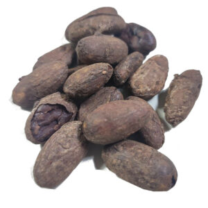 Fèves de cacao bio torréfiées