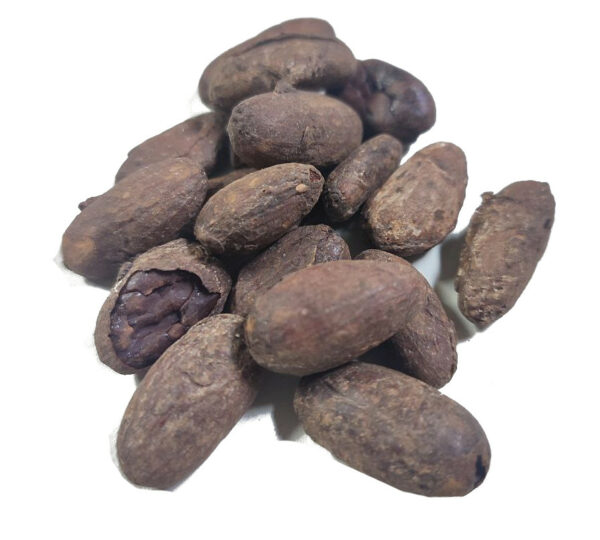 Fèves de cacao bio torréfiées