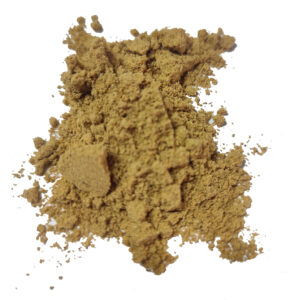 gingembre moulu bio