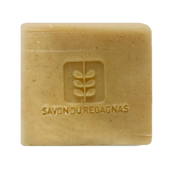 Savon Shampooing 2-en-1